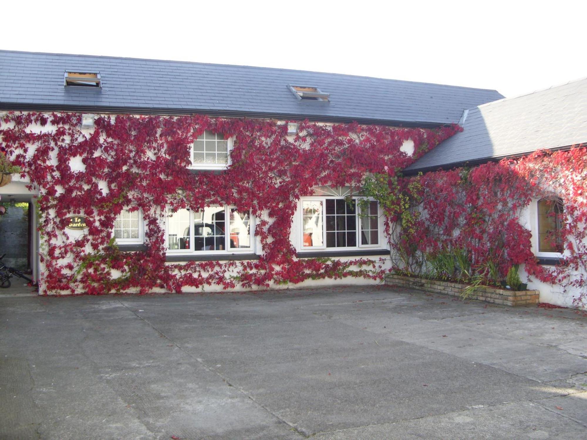 Townsend House Guest House Birr Extérieur photo