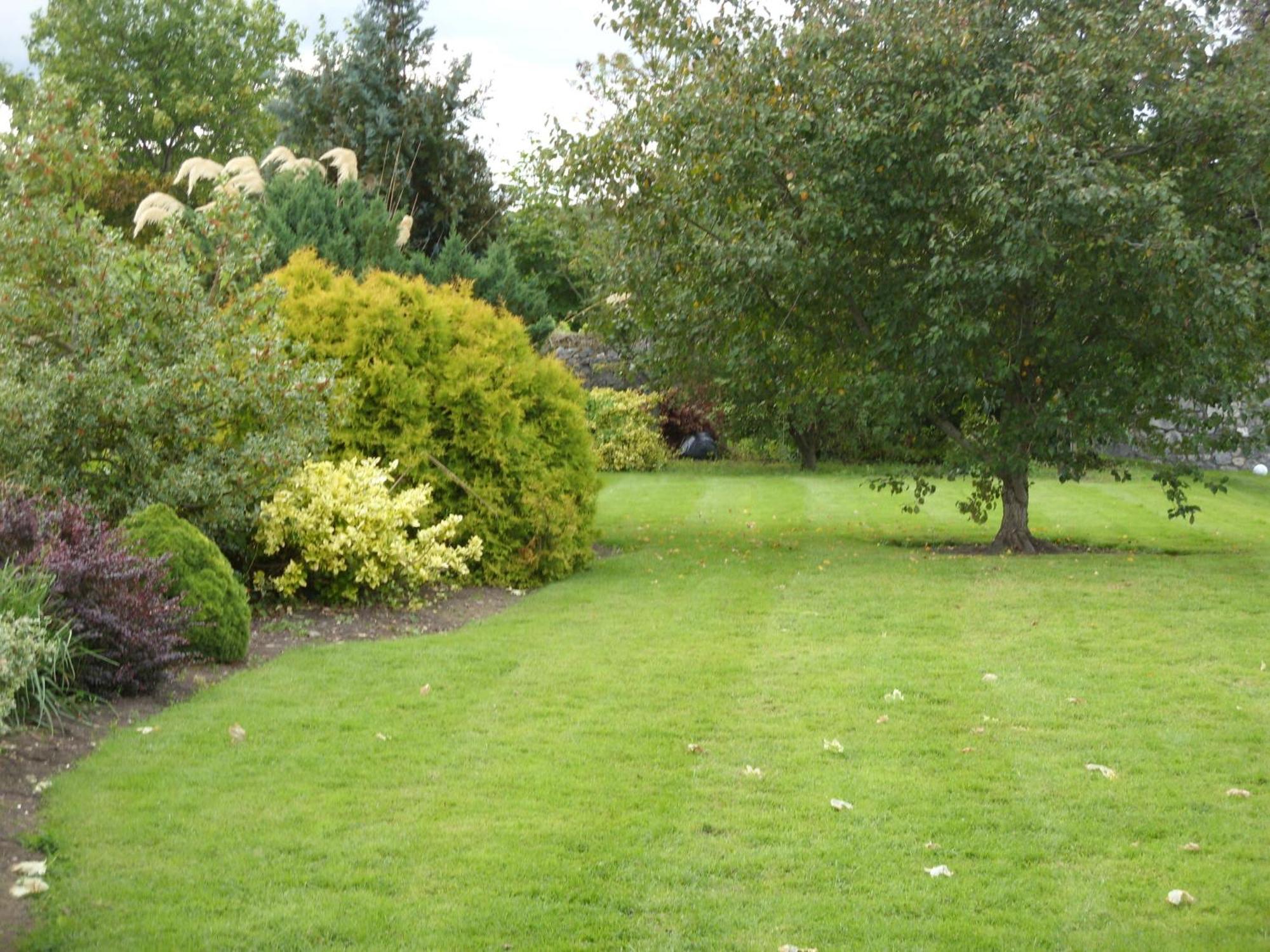 Townsend House Guest House Birr Extérieur photo